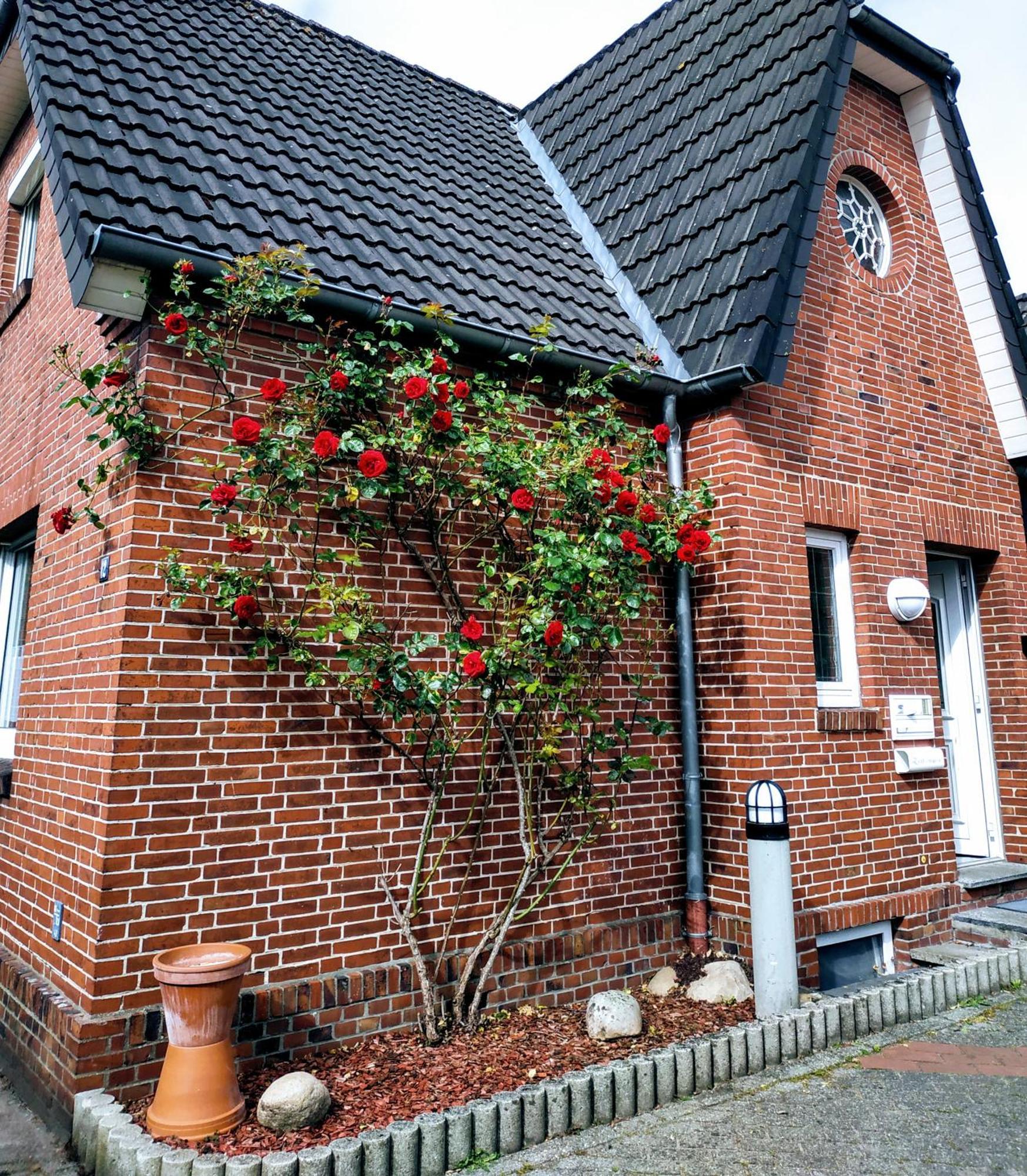 Suedwind Villa Papenburg-Obenede Ruang foto